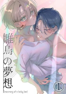 Hinadori no Musou cover