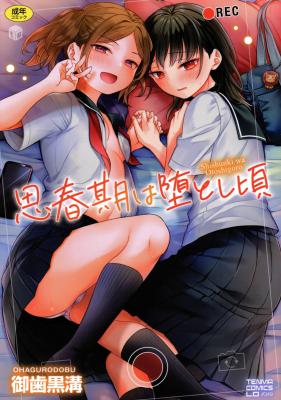 Shishunki wa Otoshigoro cover