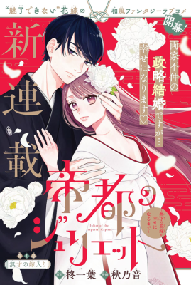 Series Image