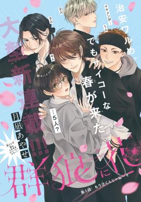 Series Image