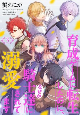 Series Image