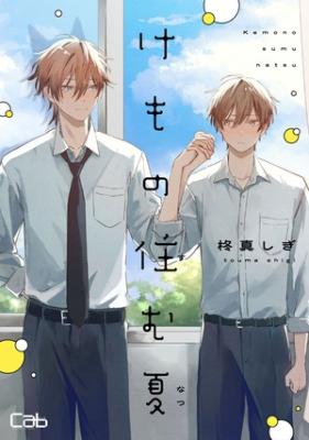 Series Image