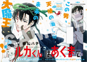 Series Image