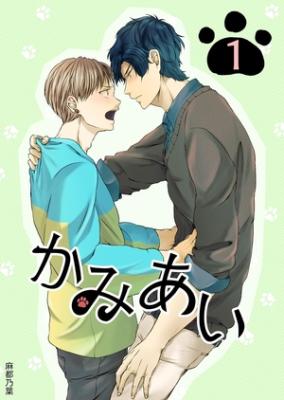 Series Image