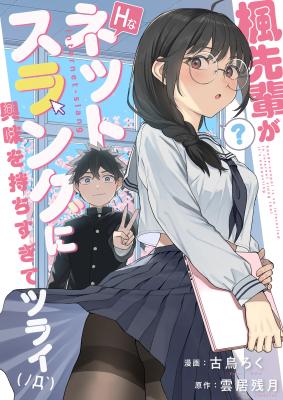 Series Image