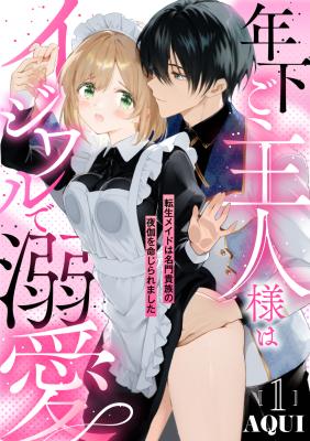 Series Image