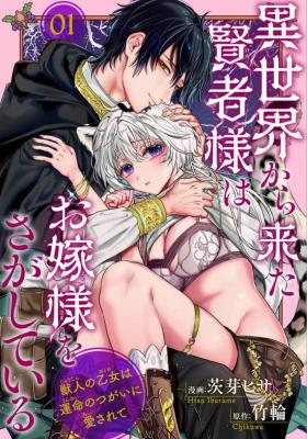Series Image