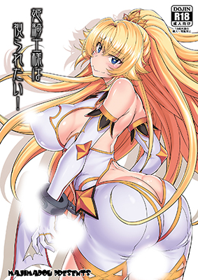 Hime Kishi-sama wa Miraretai! cover