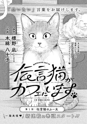 Series Image