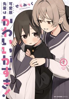 Series Image