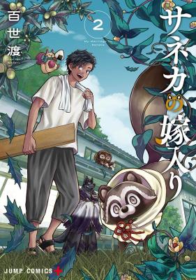 Series Image