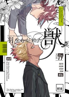 Series Image