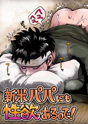 Shinkome Papa ni mo Seiyoku Aru no de! cover