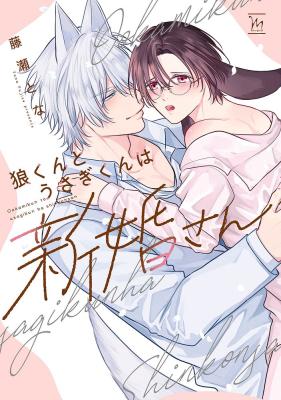 Series Image