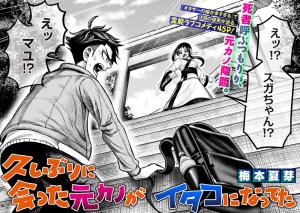 Series Image
