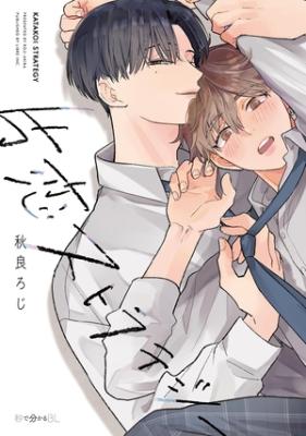 Series Image