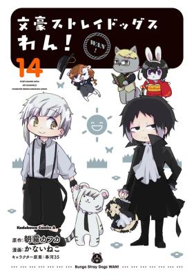 Series Image