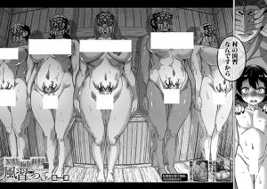 N-ken T-shi R-mura no Fuushuu ni Tsuite cover