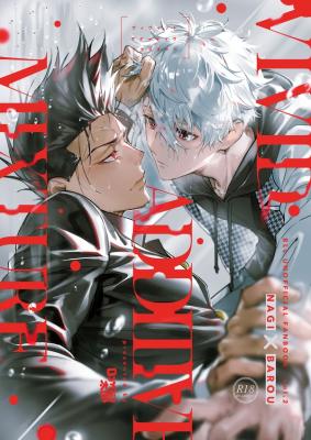 Series Image