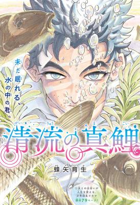 Series Image