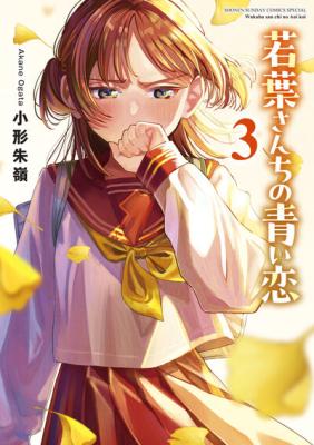Series Image
