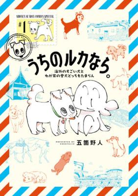 Series Image