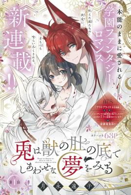 Series Image