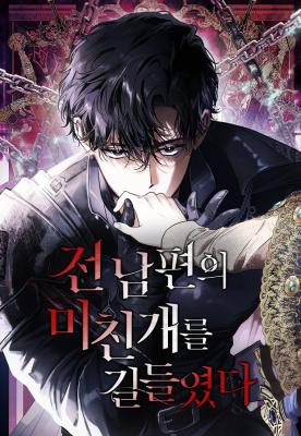 Series Image