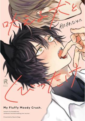 Series Image