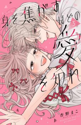 Mi wo Kogasu Hodo no Ai wo Shire cover