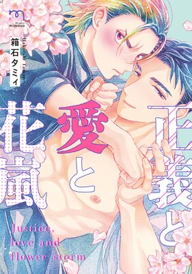 Seigi to Ai to Hanaarashi cover