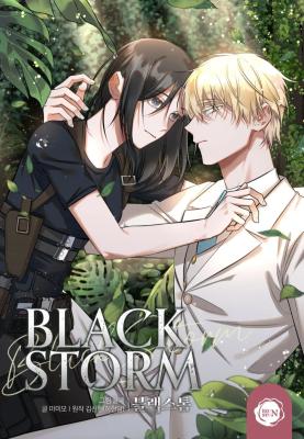 Black Storm cover