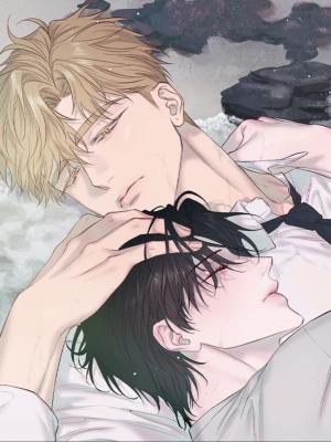 In Your Wake cover