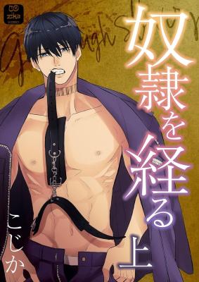 Dorei wo Heru cover