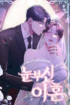 Dazzling Divorce cover
