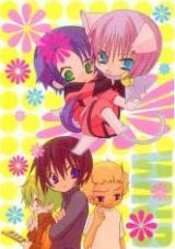 Series Image