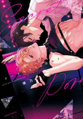 Secret Porn cover