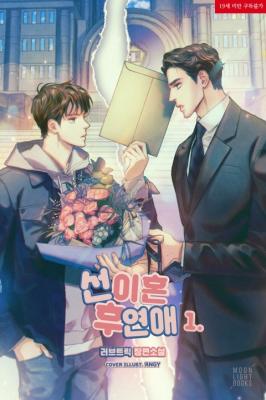 Love After Divorce (Novel) cover