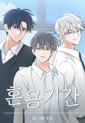 The Mingling Phase cover
