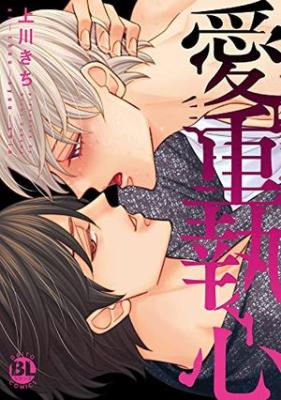 Aichou Shuushin cover