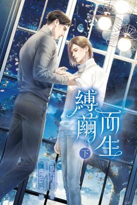 Breaking Free From the Cocoon (Novel) cover