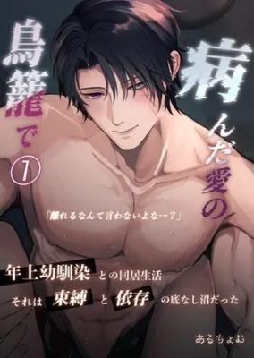 Yanda Ai no Torikago de cover