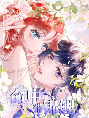 Ming Zhong Dai Jin Li cover