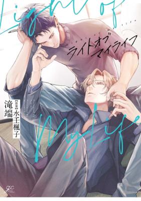 Light of My Life cover