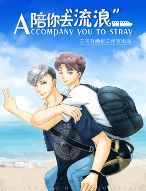 Accompany You to Stray cover