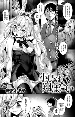 Kotori wa Tobanai cover