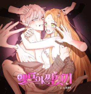 The Mating of Elves cover