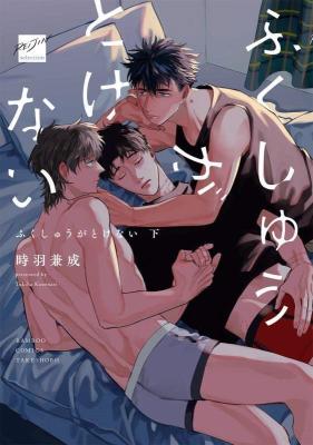 Fukushuu ga Tokenai cover