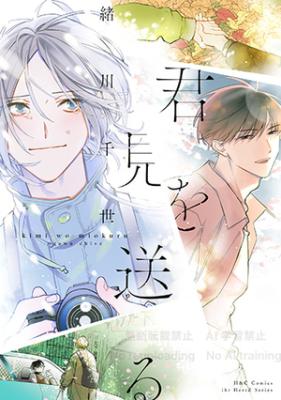 Kimi wo miokuru cover