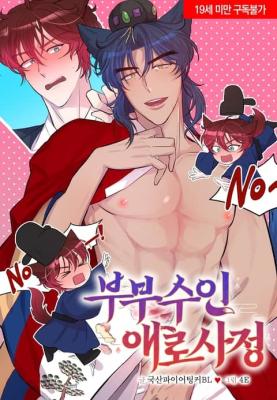 The Difficulties Faced by a Married Couple cover